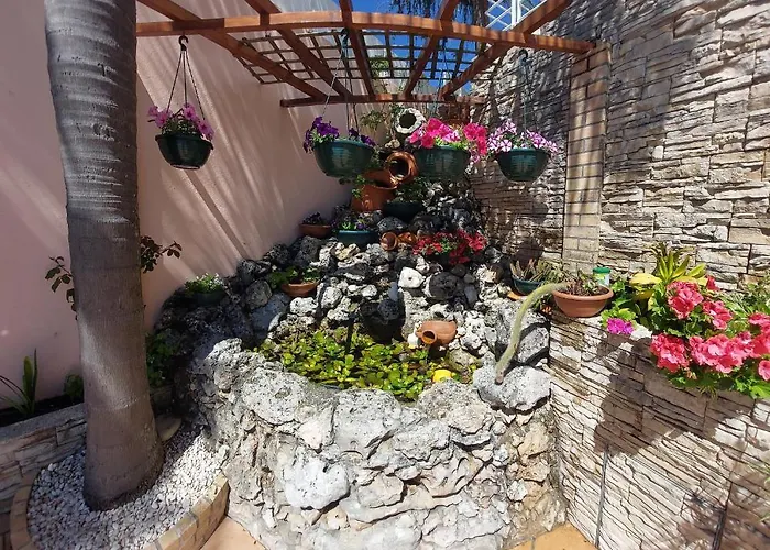Casa Golfinho